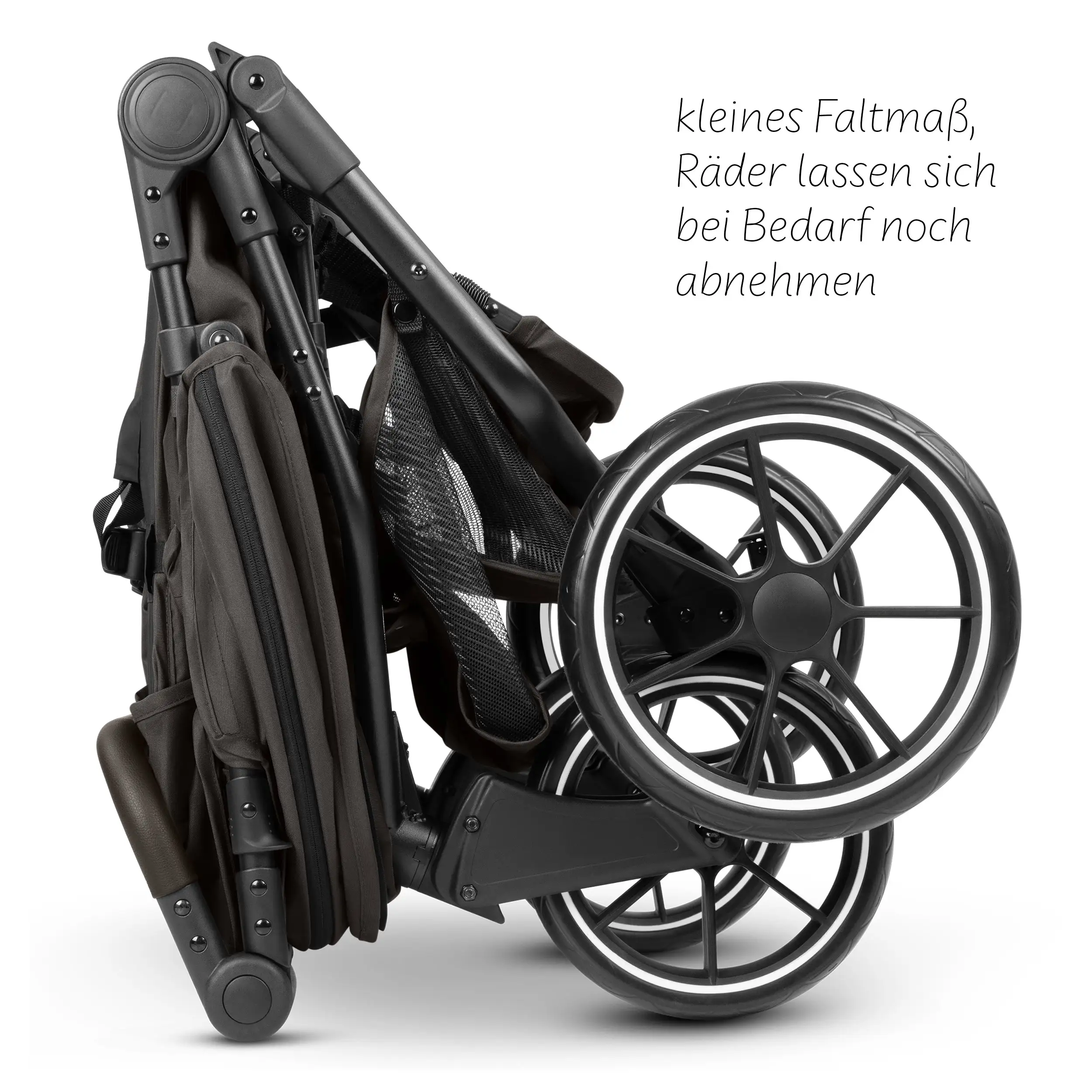 Geschwisterwagen Bayamo - Nut