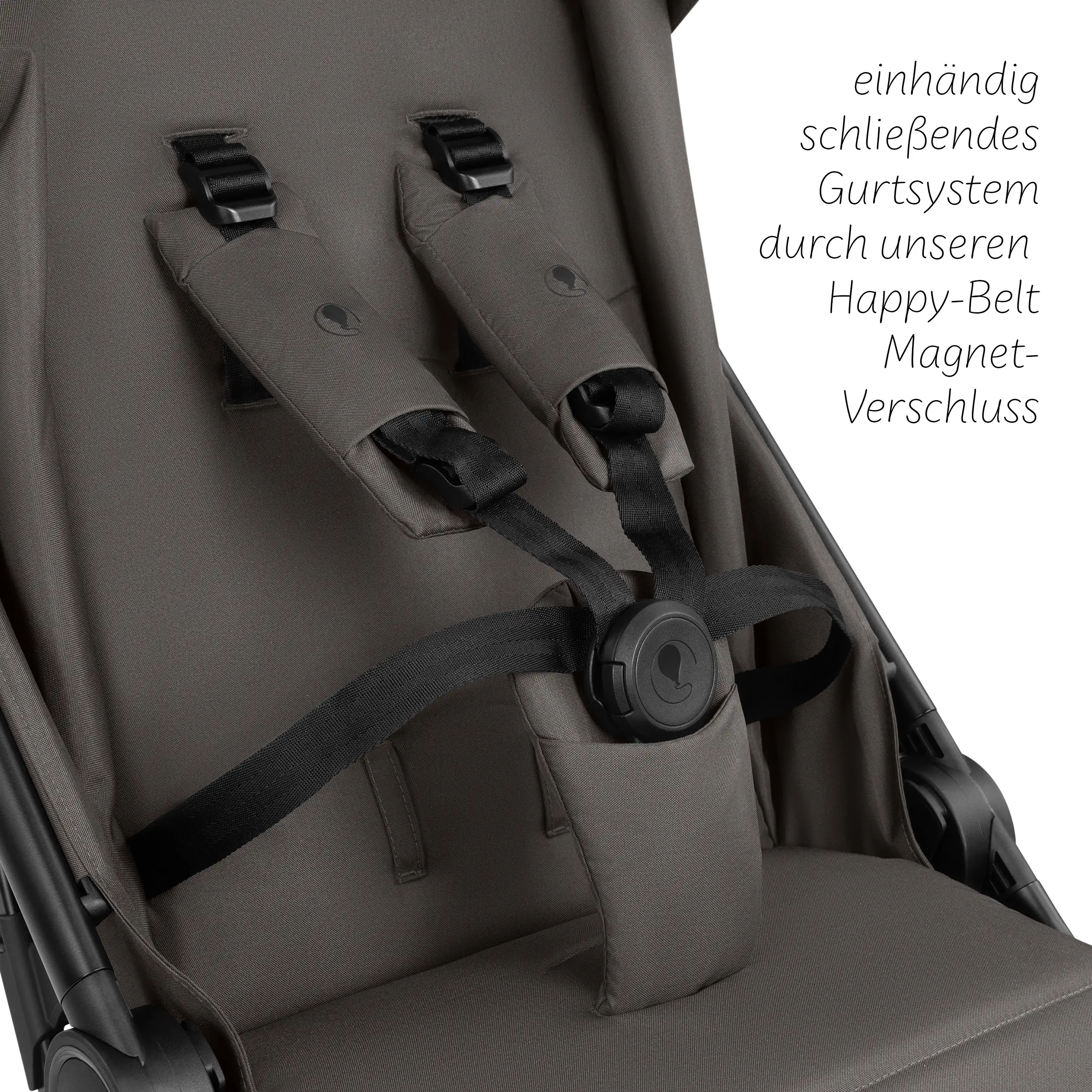 Buggy Avus 3 - Nut