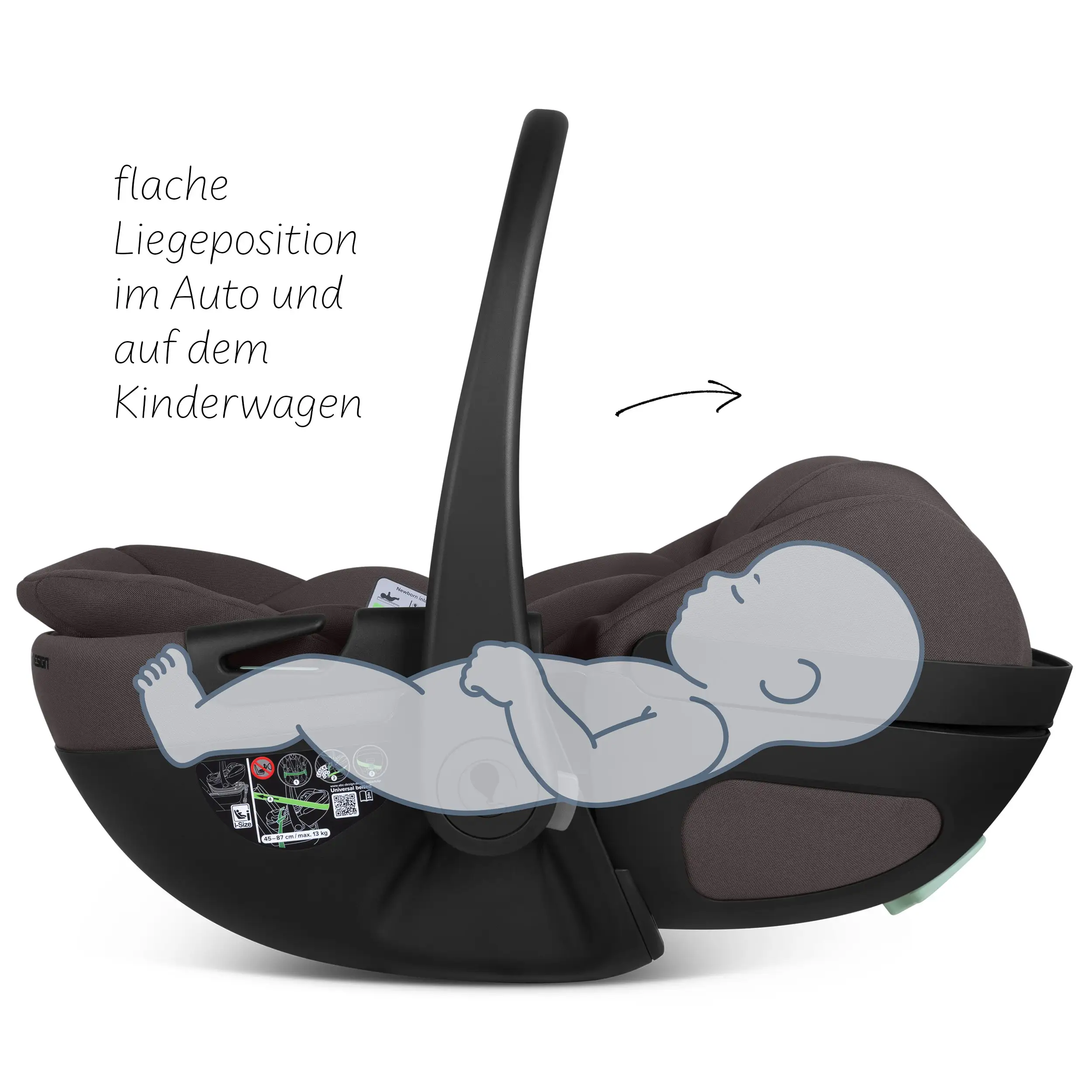 Ovetto Calla i-Size con funzione reclinabile - Falcon