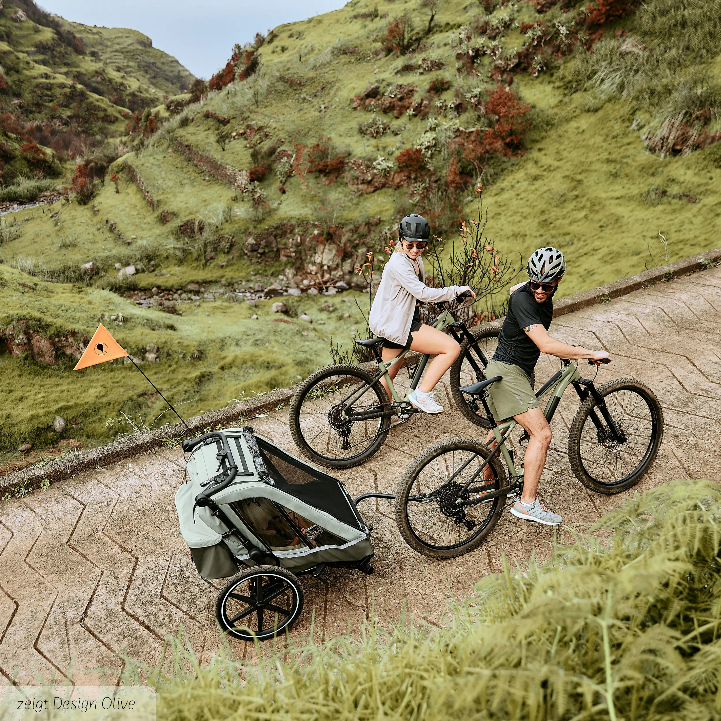 Fahrradanhänger Tour 2 mit 2 Komfortsitzen & Lufträdern - Falcon