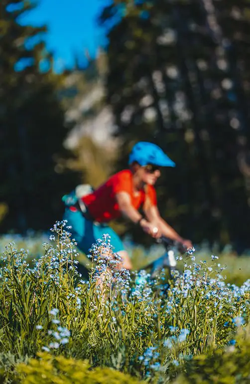 Schwarzwald Radfahren